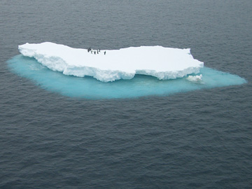 2008-Dec-SouthOrkney-Pete-066