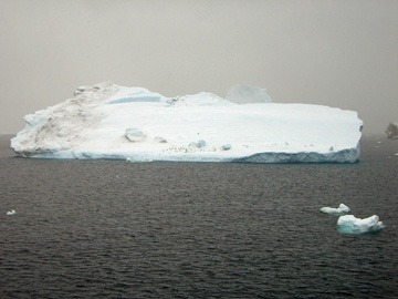 2008-Dec-SouthOrkney-Pete-072