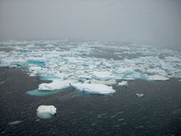 2008-Dec-SouthOrkney-Pete-103