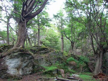 2008-Dec-Ushaia-Pete-18