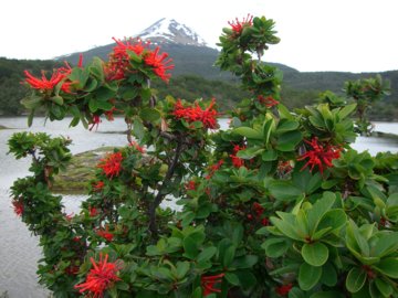 2008-Dec-Ushaia-Pete-23