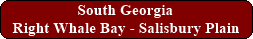 South Georgia - Right Whale Bay - Salisbury Plain