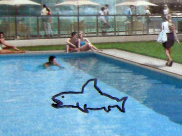 newyork-2009-pej-353-shark