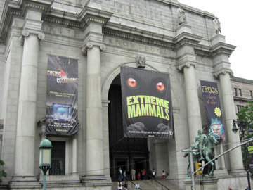 newyork-2009-pej-137