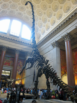 newyork-2009-ron-607