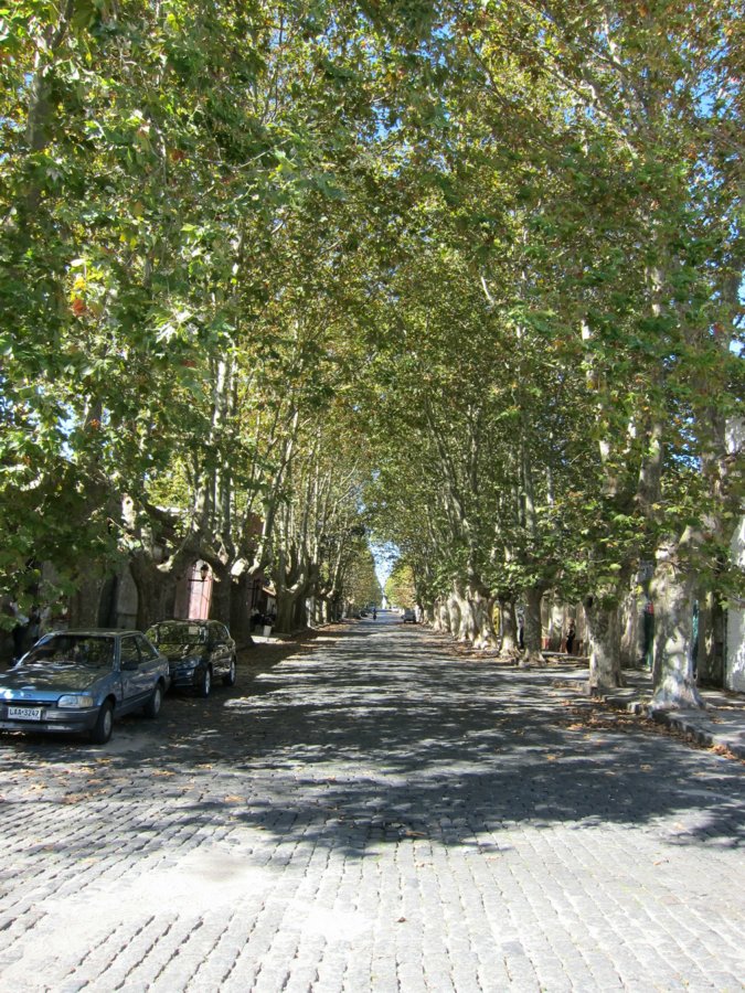 rogervisit-apr-2010-35