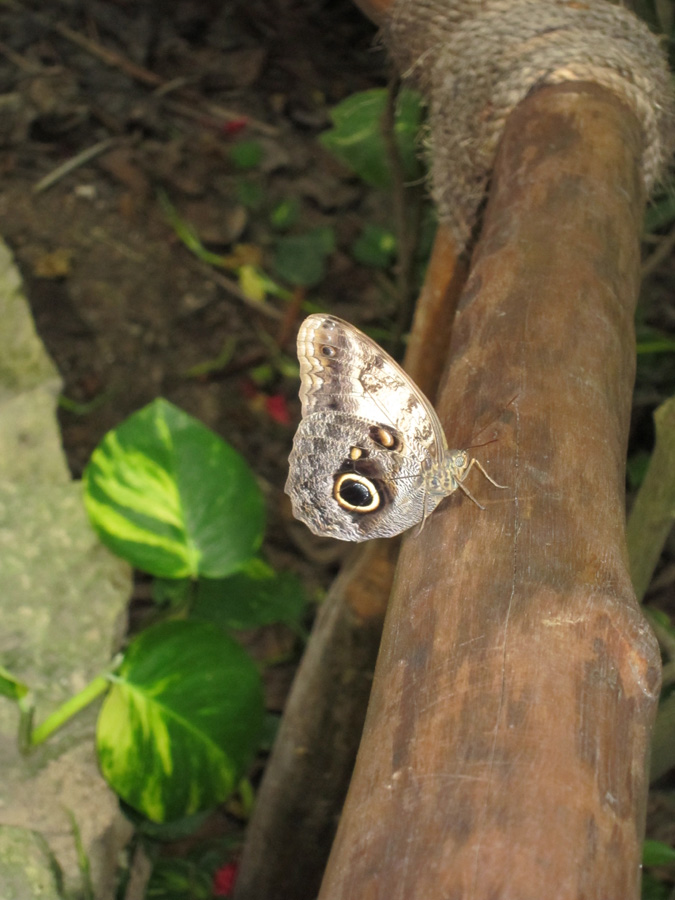 Cancun-2010-xcaret-07
