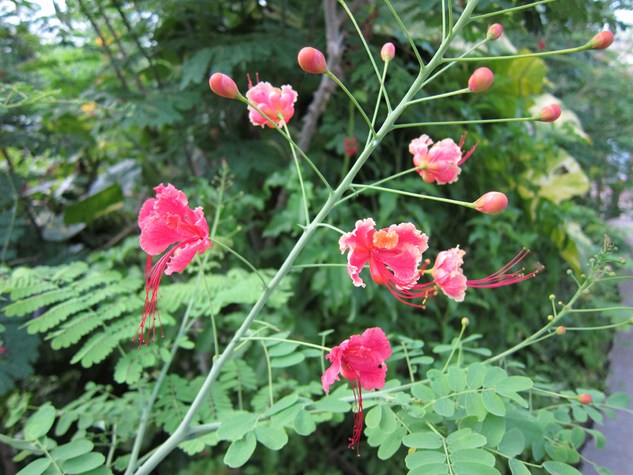Cancun-2010-xcaret-09