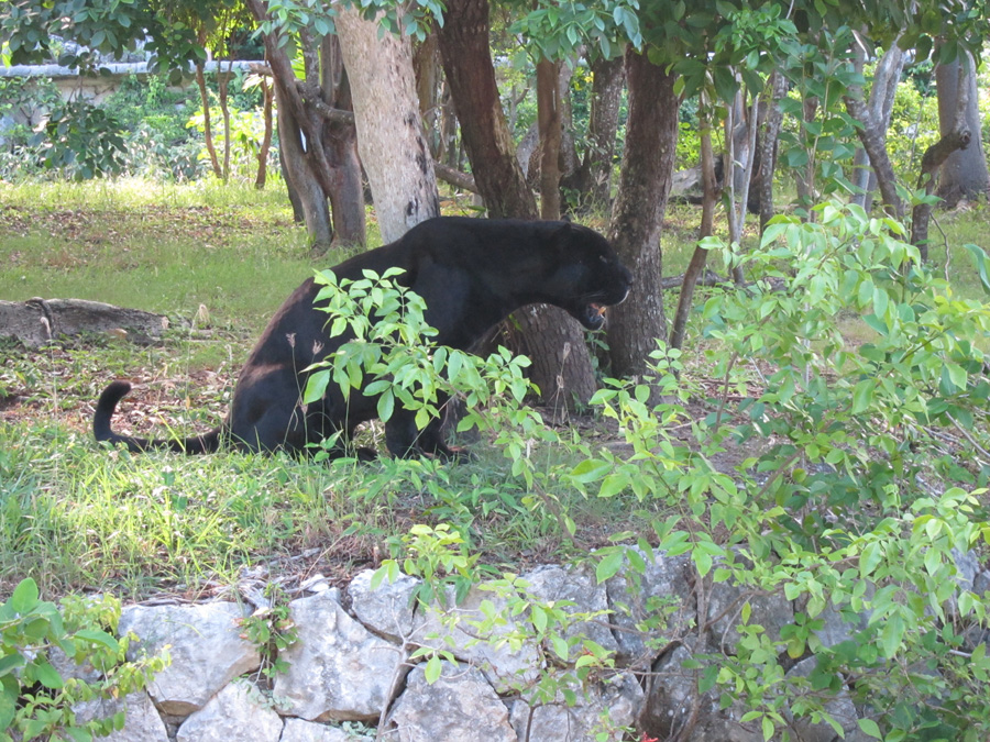 Cancun-2010-xcaret-11
