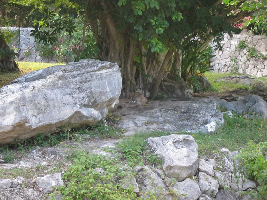 Cancun-2010-xcaret-12