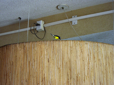 Aruba-2010-chapter2-08