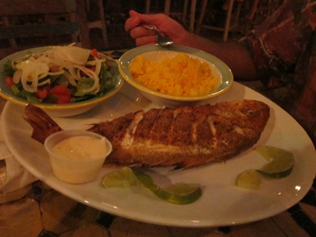 Aruba-2010-chapter2-z28