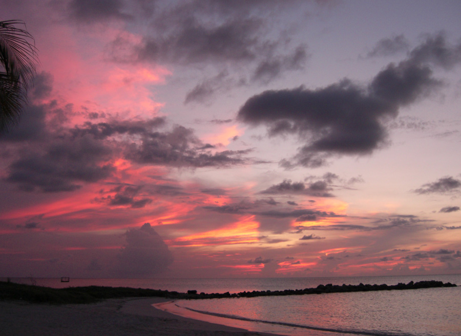 Aruba-2010-chapter5-04