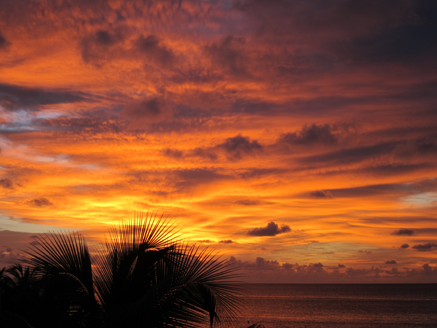 Aruba-2010-chapter5-10