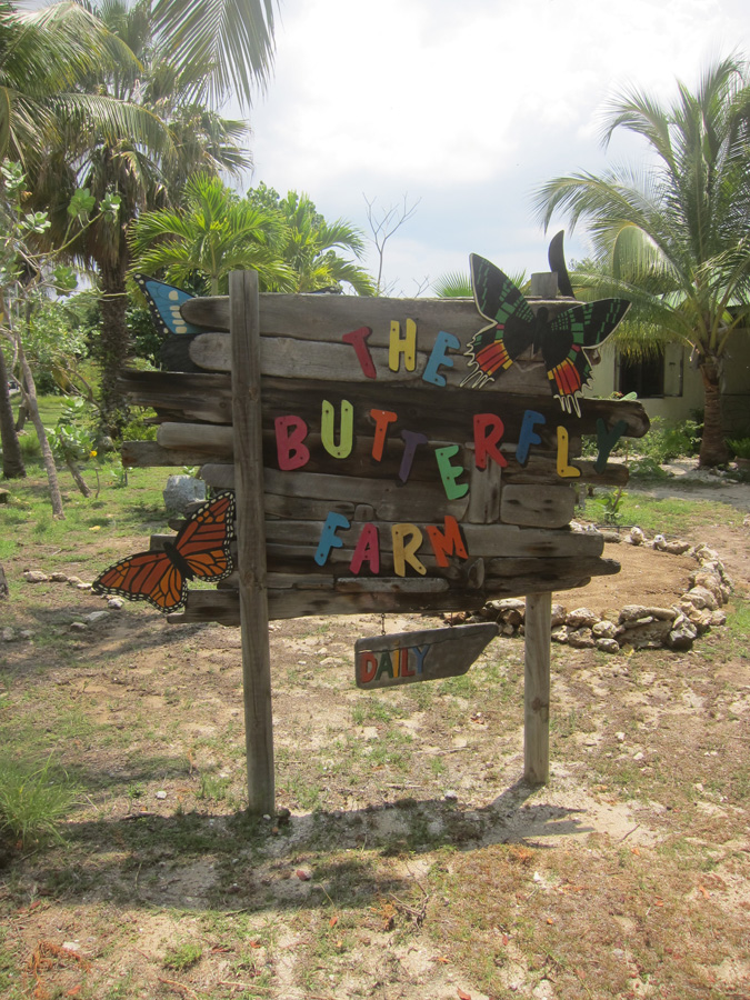 Aruba-2010-chapter5-13