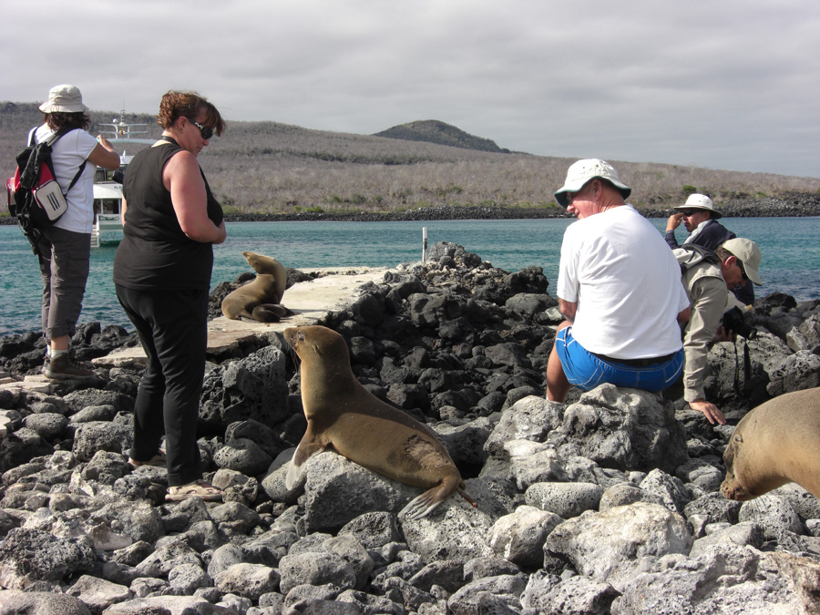 Galapagos-chpt-8-08