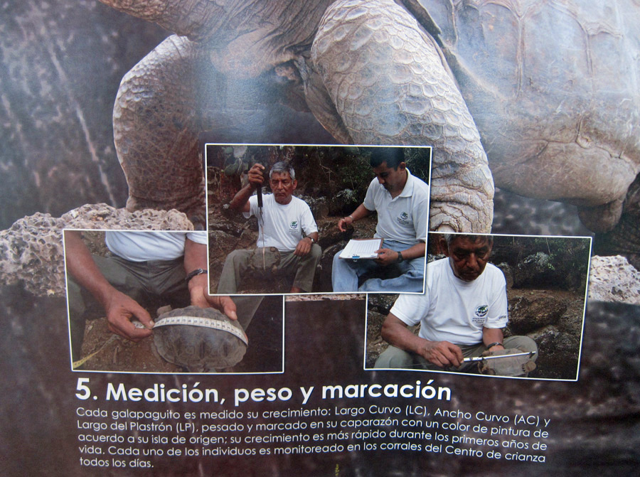 Galapagos-chpt-10-05