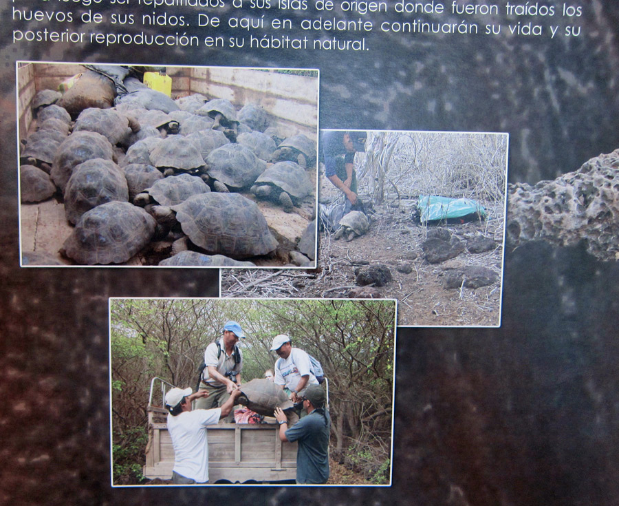 Galapagos-chpt-10-06