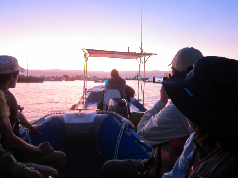 Galapagos-chpt-10-12