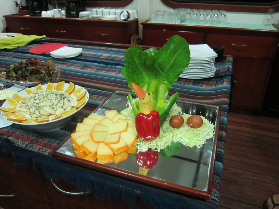 Galapagos-chpt-13-05