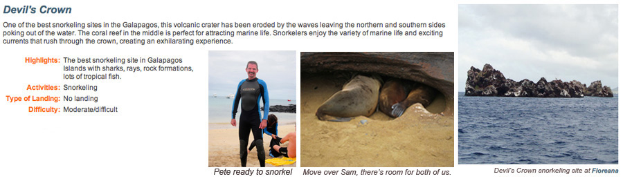 Galapagos-chpt-13-13