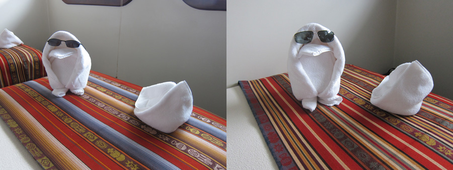 Galapagos-chpt-13-16