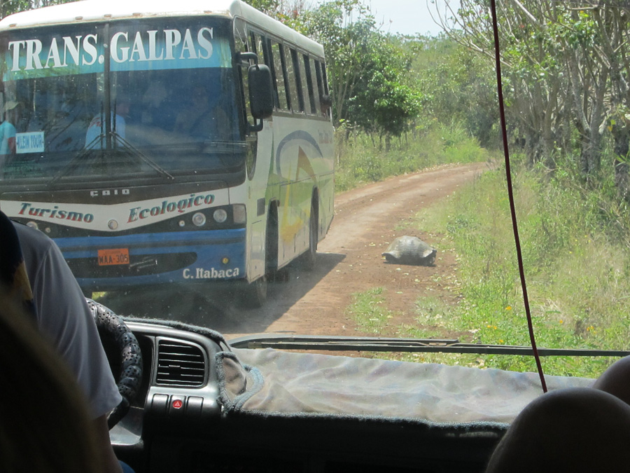 Galapagos-chpt-18-09