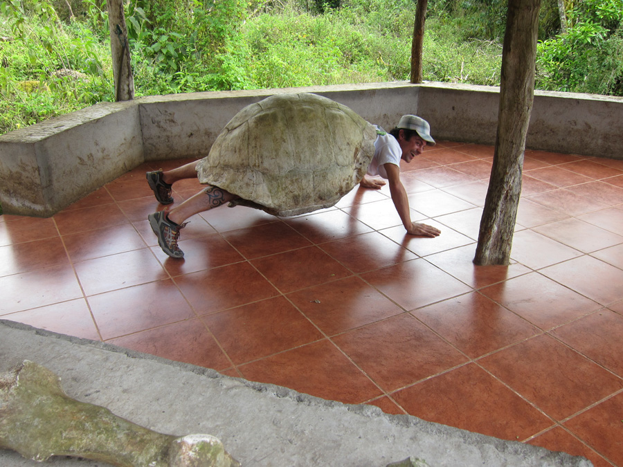 Galapagos-chpt-19-03