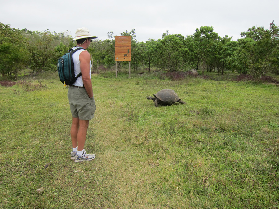 Galapagos-chpt-20-04