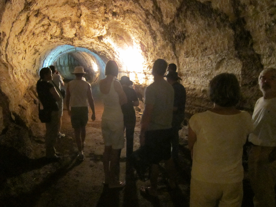 Galapagos-chpt-20-07