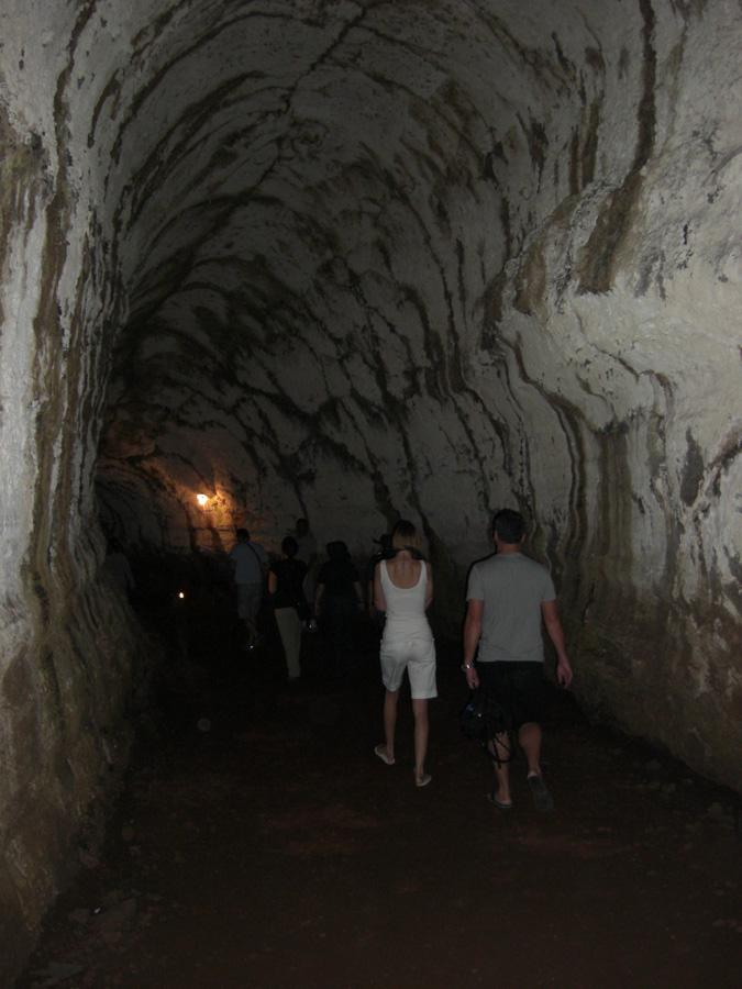 Galapagos-chpt-21-01