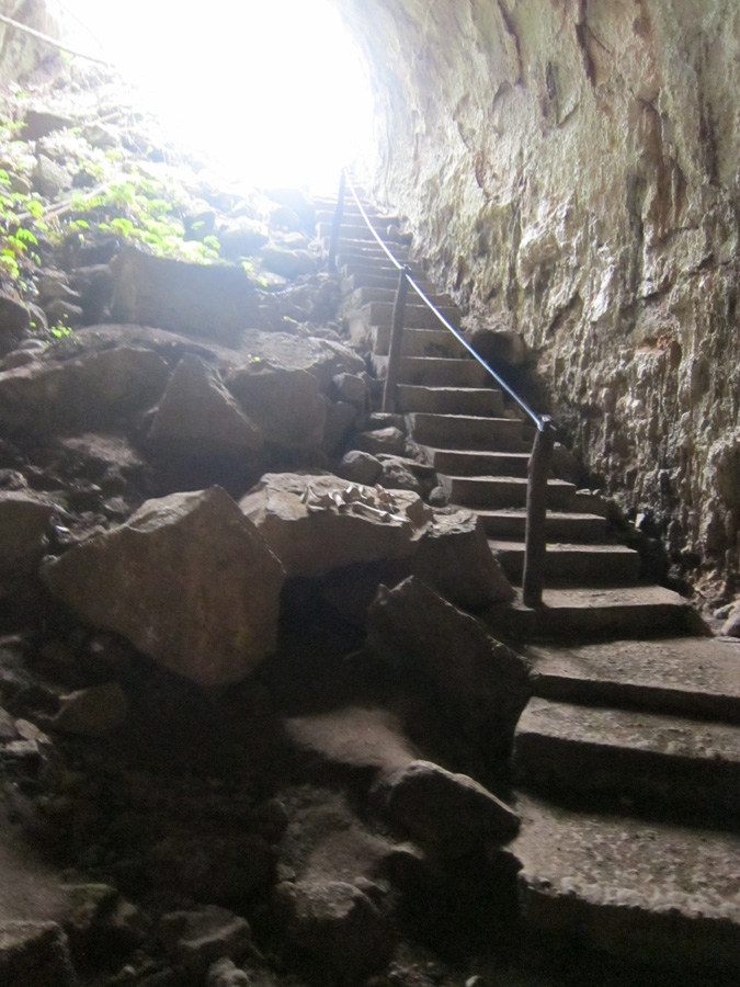 Galapagos-chpt-21-02