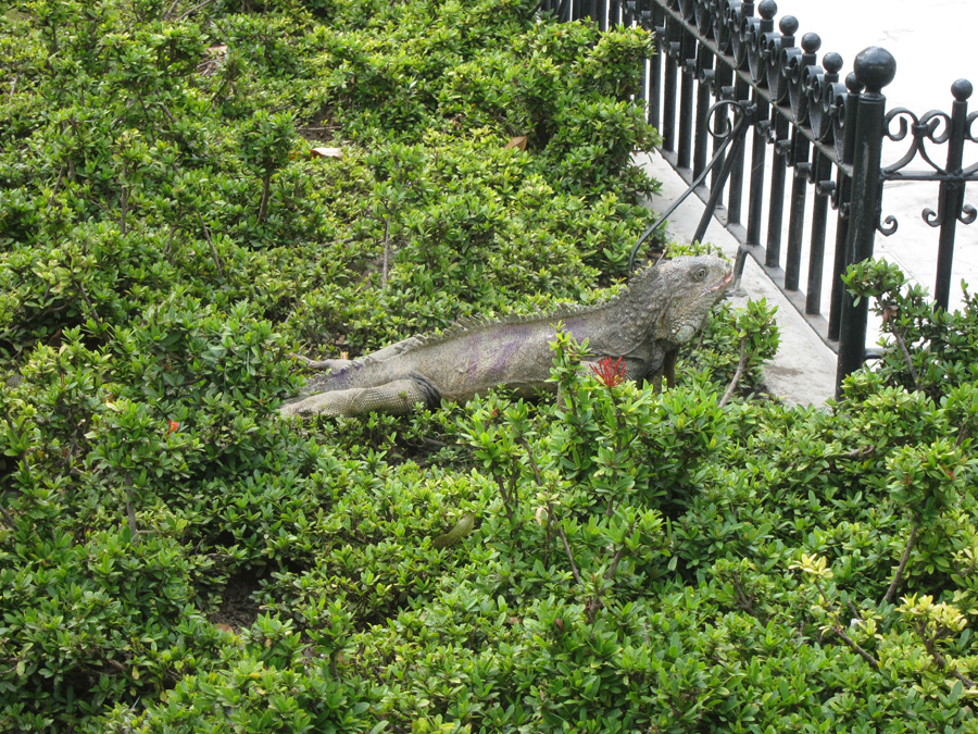 Galapagos-chpt-23-08