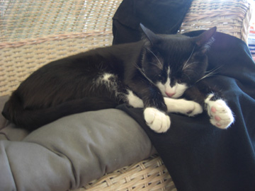 wedding-nov-2010-pete-47