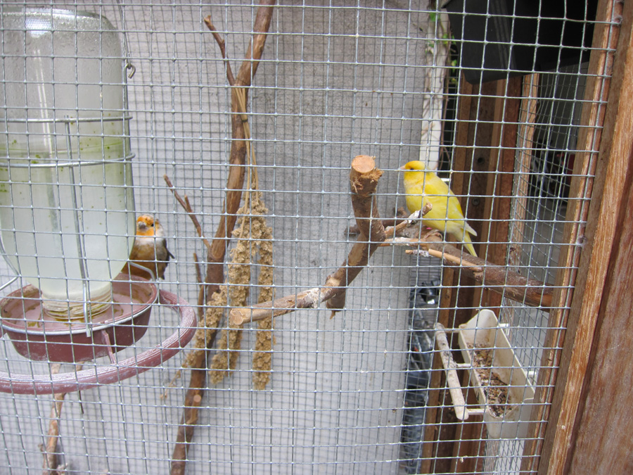 France-2012-chptr02-11