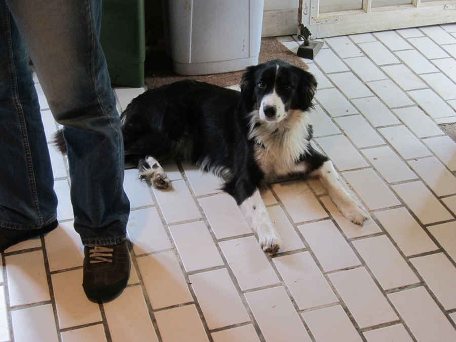 France-2012-chptr03-09