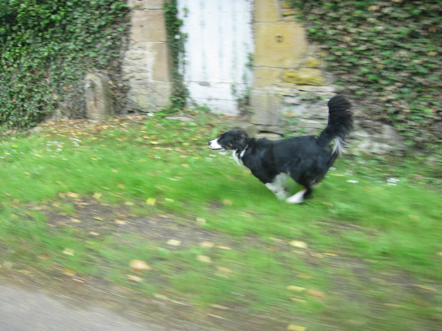 France-2012-chptr04-08