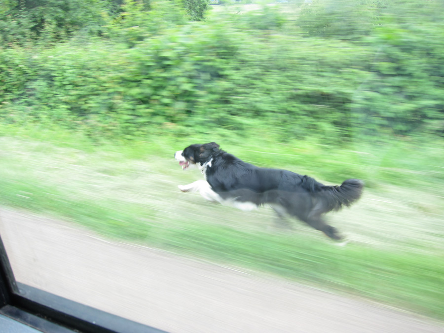 France-2012-chptr04-10