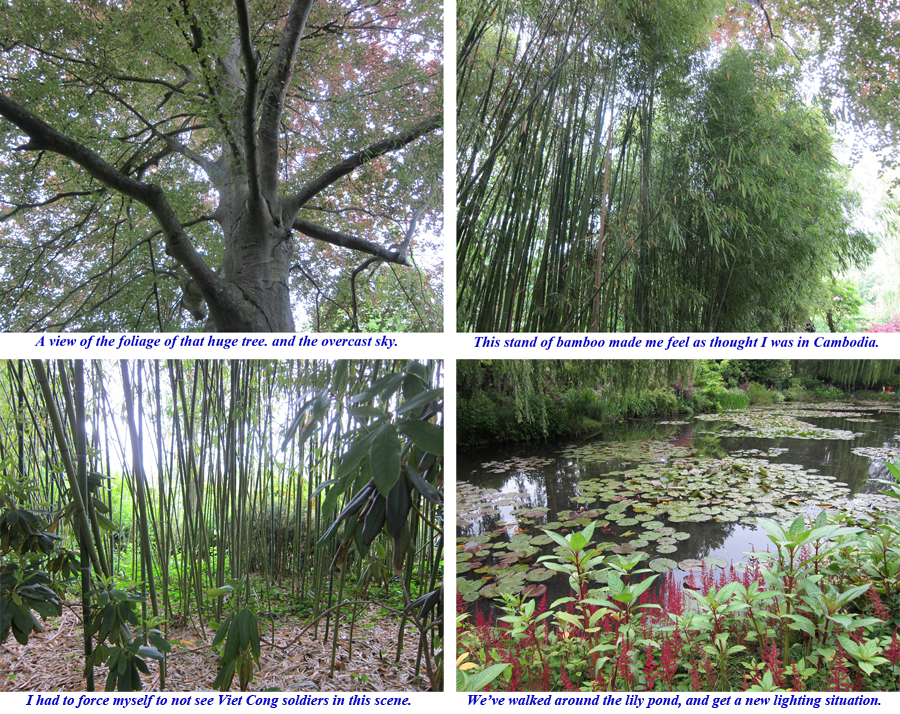 France-2012-chptr11-02