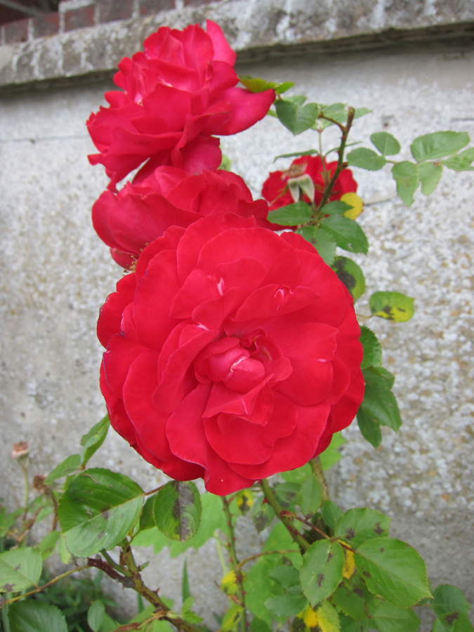 France-2012-chptr15-19 France-2012-chptr15-19