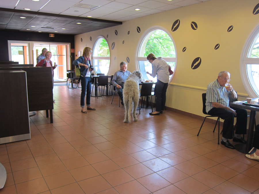 France-2012-chptr17-14