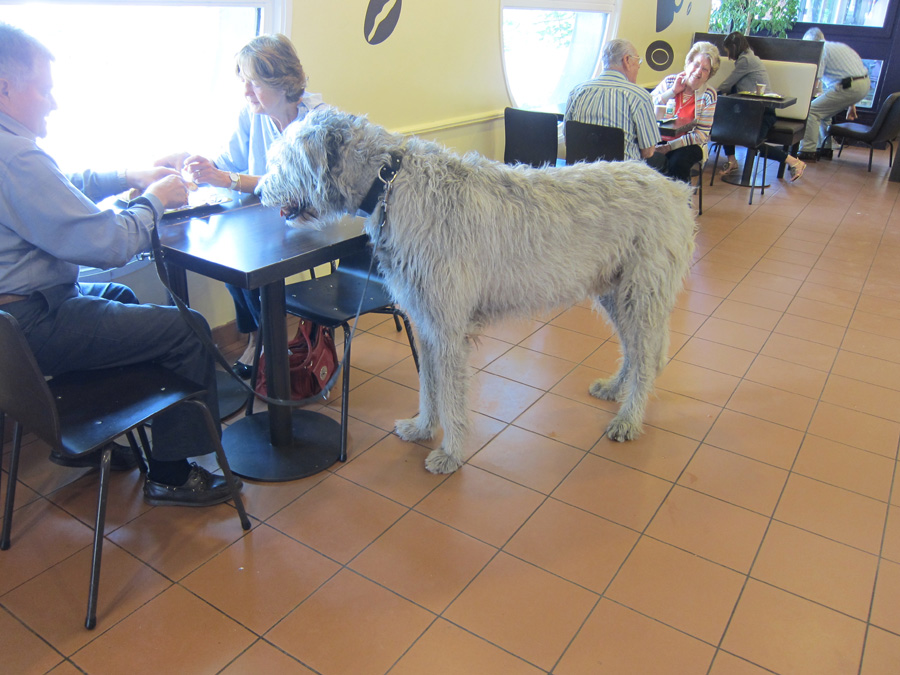 France-2012-chptr17-15