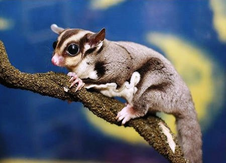 Bariloche-2012-chptr01-09