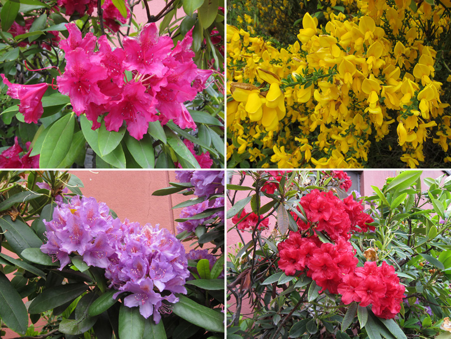 Bariloche-2012-chptr02-03