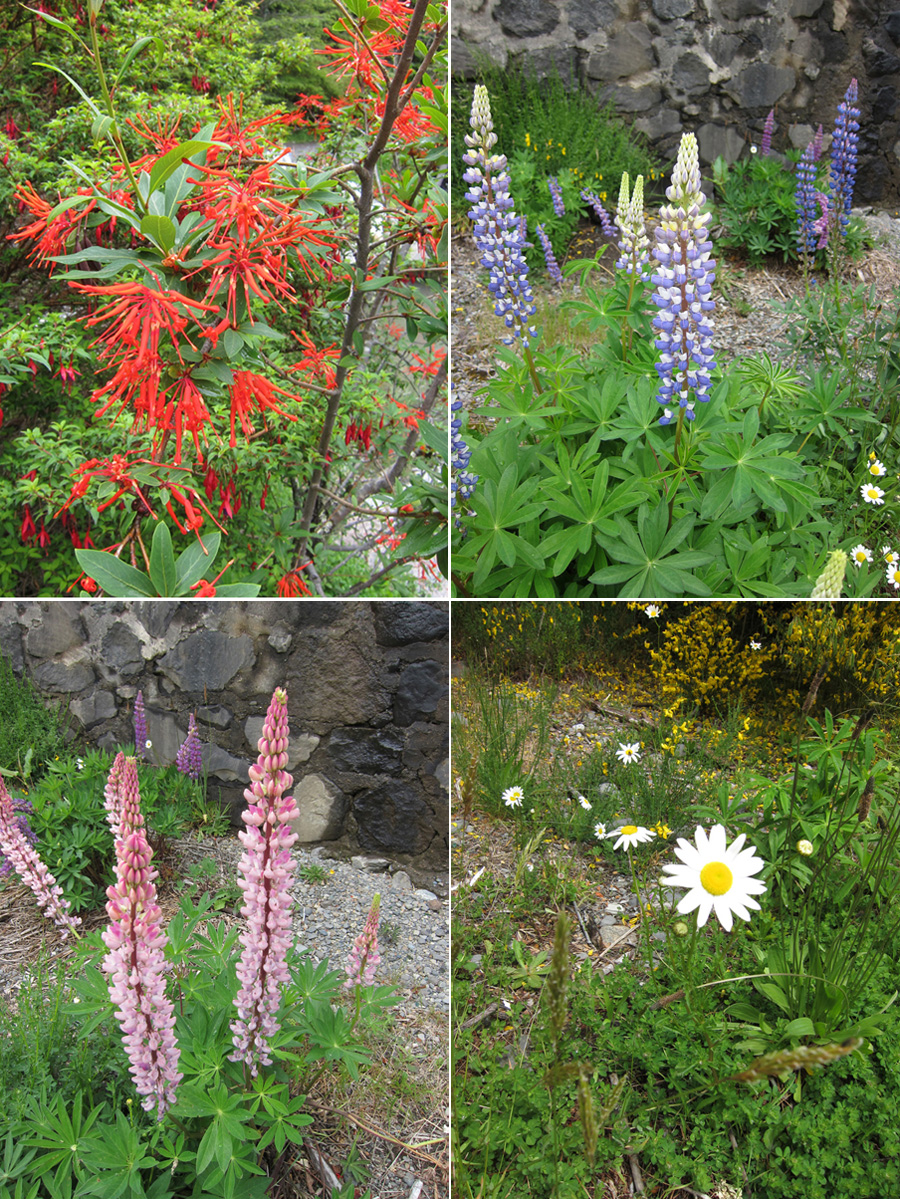 Bariloche-2012-chptr02-04