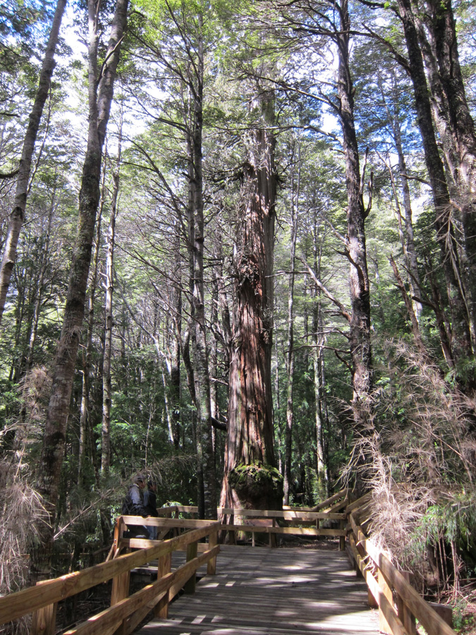 Bariloche-2012-chptr02-11