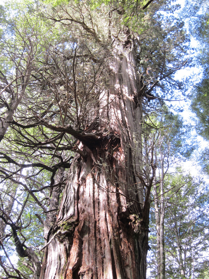 Bariloche-2012-chptr02-12