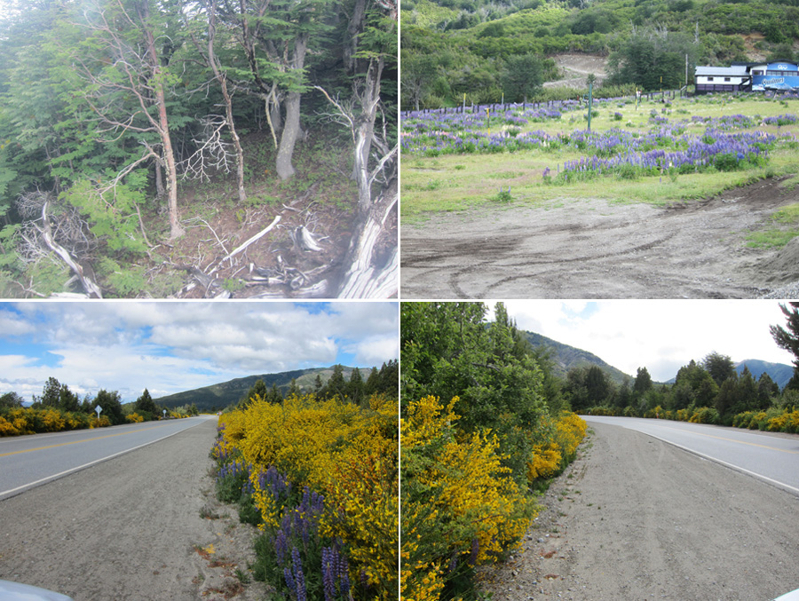 Bariloche-2012-chptr04-06