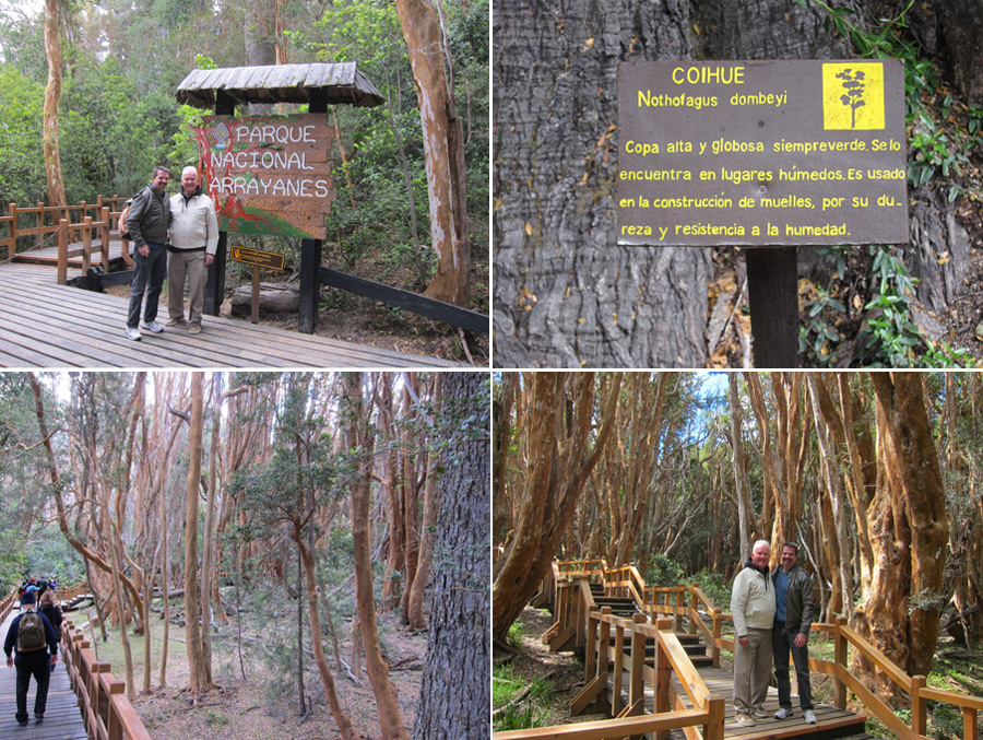 Bariloche-2012-chptr04-14