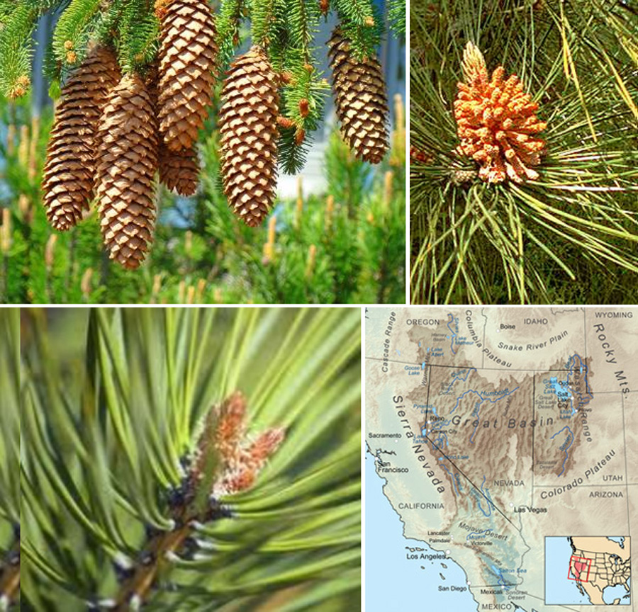 Bariloche-2012-chptr05-04